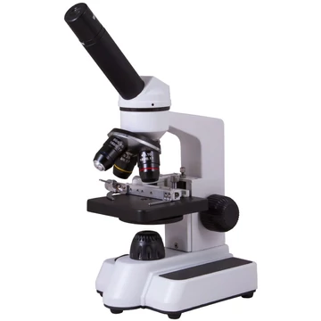 70331