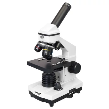 74845