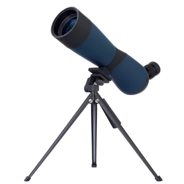77805