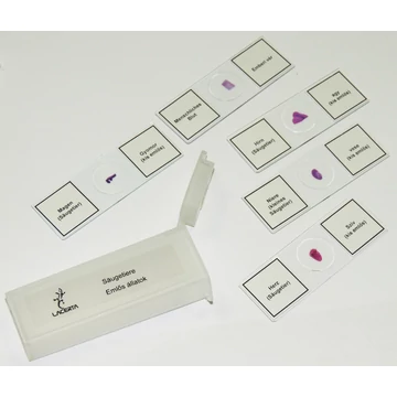 Speciális témájú preparátumok magyar nyelvű leírással (5db - emlös állatok) Prep05mammal Speciális témájú preparátumok magyar nyelvű leírással (5db - emlös állatok) Prep05mammal
