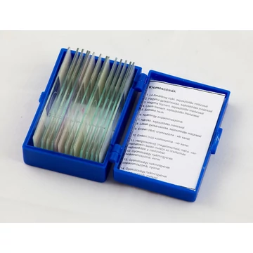 Speciális témájú preparátumok magyar nyelvű leírással (14db - kromoszómák) Prep14chromo Speciális témájú preparátumok magyar nyelvű leírással (14db - kromoszómák) Prep14chromo