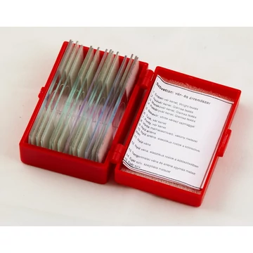 Speciális témájú preparátumok magyar nyelvű leírással (15db - vér és keringési rendszer) Prep15blood Speciális témájú preparátumok magyar nyelvű leírással (15db - vér és keringési rendszer) Prep15blood