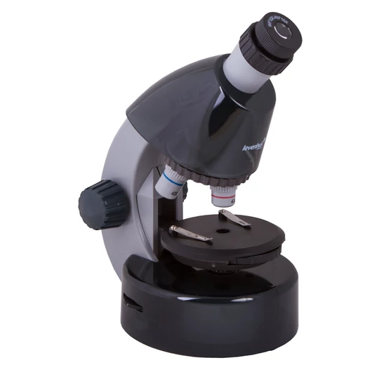 69107