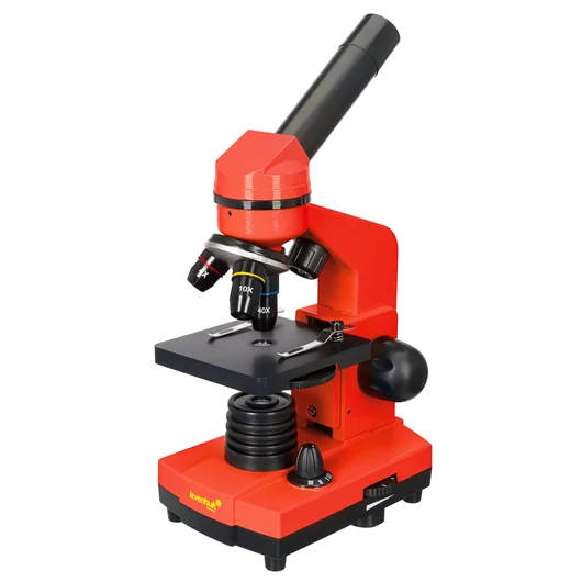74886