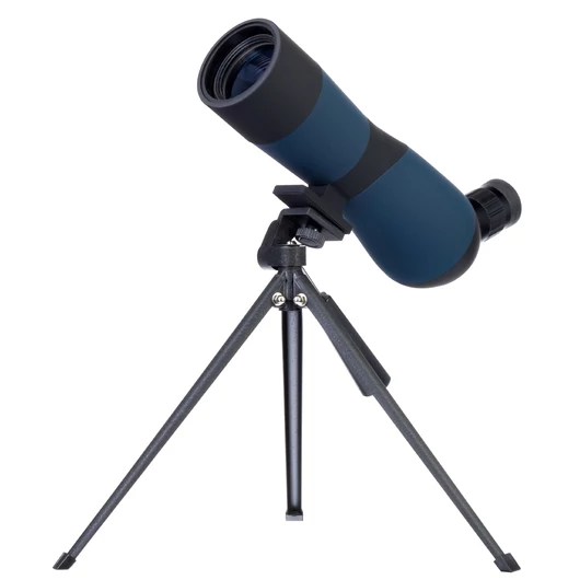 77804