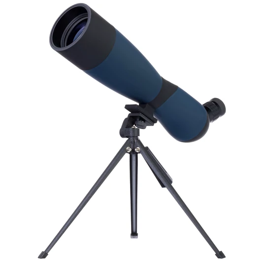 77806