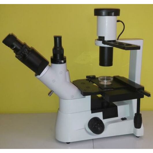 Inverz biológiai fáziskontraszt mikroszkóp InvBioLWD-PH