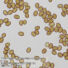 Kép 6/8 - Bresser Researcher Trino 40–1000x mikroszkóp