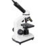 Kép 6/8 - (HU) Levenhuk Rainbow D2L 0,3M Digitális mikroszkóp, Moonstone / Holdkő
