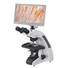 Kép 6/7 - Bresser Science Infinity mikroszkóp Kép 6/7 - Bresser Science Infinity mikroszkóp