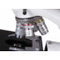 Kép 7/8 - Levenhuk MED 10T trinokuláris mikroszkóp
