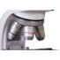 Kép 8/8 - Levenhuk MED 20T trinokuláris mikroszkóp