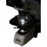 Kép 3/8 - Levenhuk MED 35B binokuláris mikroszkóp