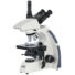 Kép 3/8 - Levenhuk MED 40T trinokuláris mikroszkóp
