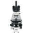 Kép 4/8 - Levenhuk MED 40T trinokuláris mikroszkóp