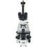 Kép 3/8 - Levenhuk MED D40T digitális trinokuláris mikroszkóp