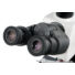 Kép 8/8 - Levenhuk MED D40T digitális trinokuláris mikroszkóp