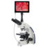 Kép 1/8 - Levenhuk MED D40T LCD digitális trinokuláris mikroszkóp 74007