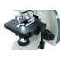 Kép 5/8 - Levenhuk MED D40T LCD digitális trinokuláris mikroszkóp