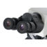 Kép 8/8 - Levenhuk MED 45B binokuláris mikroszkóp