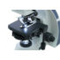 Kép 5/8 - Levenhuk MED D45T LCD digitális trinokuláris mikroszkóp