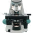 Kép 3/8 - Levenhuk 500B binokuláris mikroszkóp