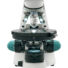 Kép 3/8 - Levenhuk 500T POL trinokuláris mikroszkóp