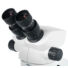 Kép 5/8 - Levenhuk ZOOM 1B binokuláris mikroszkóp