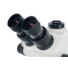 Kép 5/8 - Levenhuk ZOOM 1T trinokuláris mikroszkóp