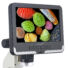 Kép 7/8 - Levenhuk Rainbow DM700 LCD digitális mikroszkóp