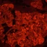 Kép 5/8 - MAGUS Lum V500L fluoreszcens fordított mikroszkóp