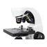 Kép 7/8 - Levenhuk Rainbow D50L PLUS 2M Digitális mikroszkóp, Moonstone Kép 7/8 - Levenhuk Rainbow D50L PLUS 2M Digitális mikroszkóp, Moonstone