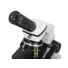 Kép 8/8 - (HU) Levenhuk Rainbow 2L PLUS mikroszkóp
