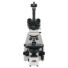 Kép 4/7 - Levenhuk MED D45T digitális trinokuláris mikroszkóp